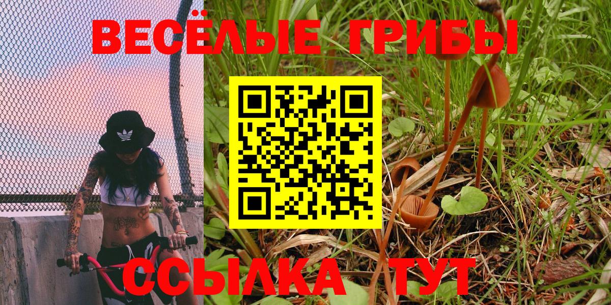 Псилоцибиновые грибы GOLDEN TEACHER  Вход с VPN  Галлюциногенные грибы Psilocybe  Курчатов 